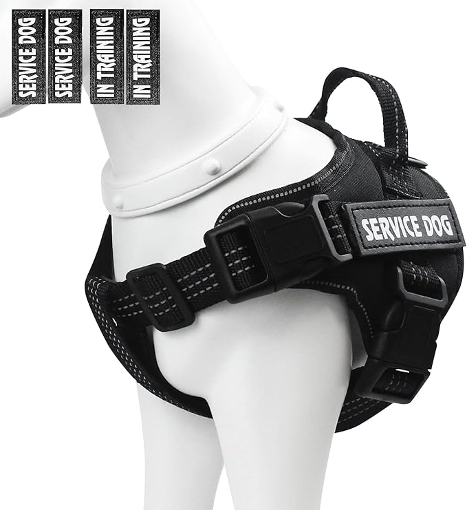 PUMDOWS Service Dog Vest - in Training Pet Vest Harness, Oxford Adjustable Reflective Dogs Vest with Adjustable Padded and Handle & 2 Pairs Patches, Easy Control for Small,Medium Breeds 