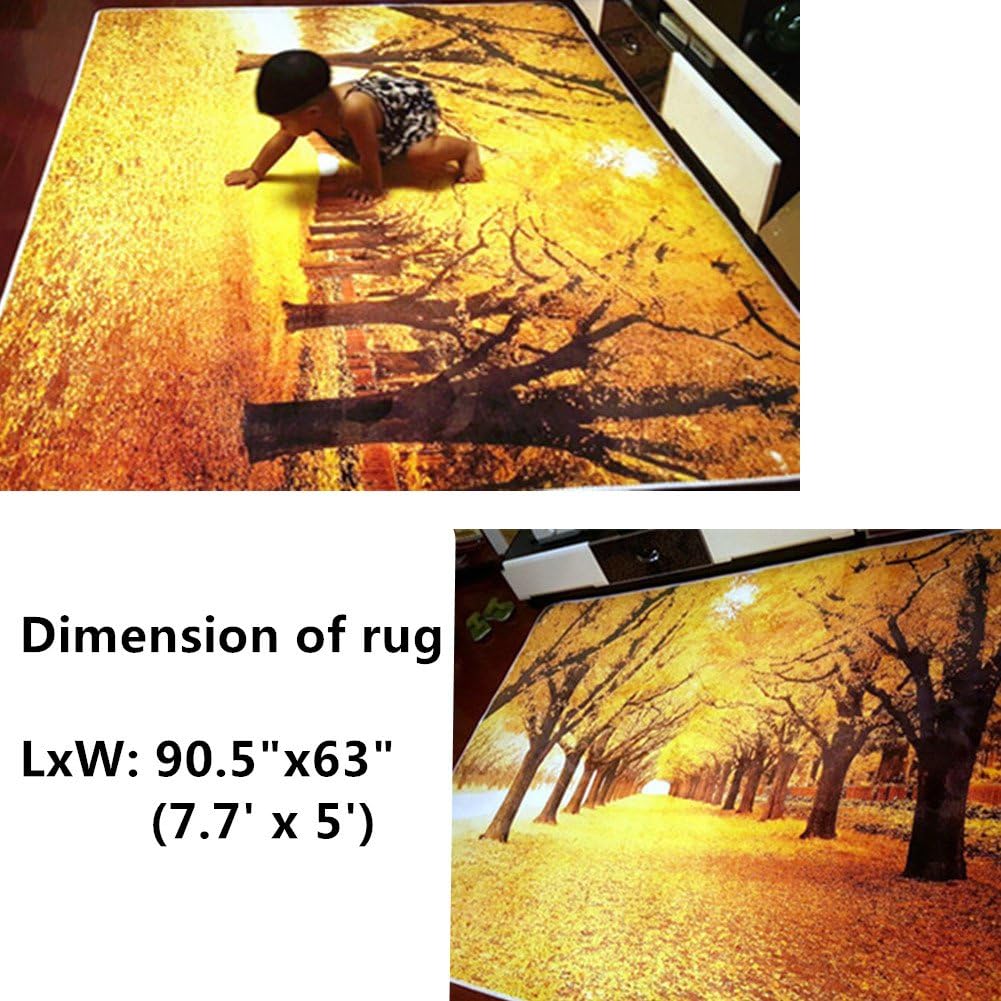 ZaH Thin Area Rug Non-Slip Doormat Carpet Printing Rug for Living Room, Bedroom, Kitchen, Bathroom (2x3-19.7"x31.5", Sunset)