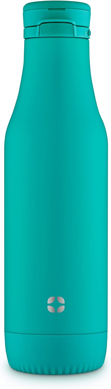 Ello Riley 18oz Vacuum Insulated Stainless Steel Water Bottle with Flip Lid