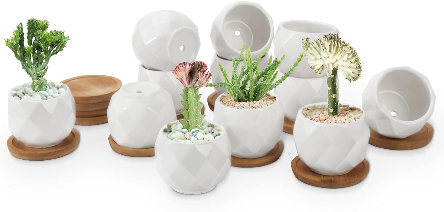 ZOUTOG Succulent Plant Pot 12 Pack, 2.5 inch Square Pattern Ceramic Planters with Bamboo Tray, Small Succulent Pots for Indoor Plants, White Office Desk Decor (Seeds Plants Not Included)