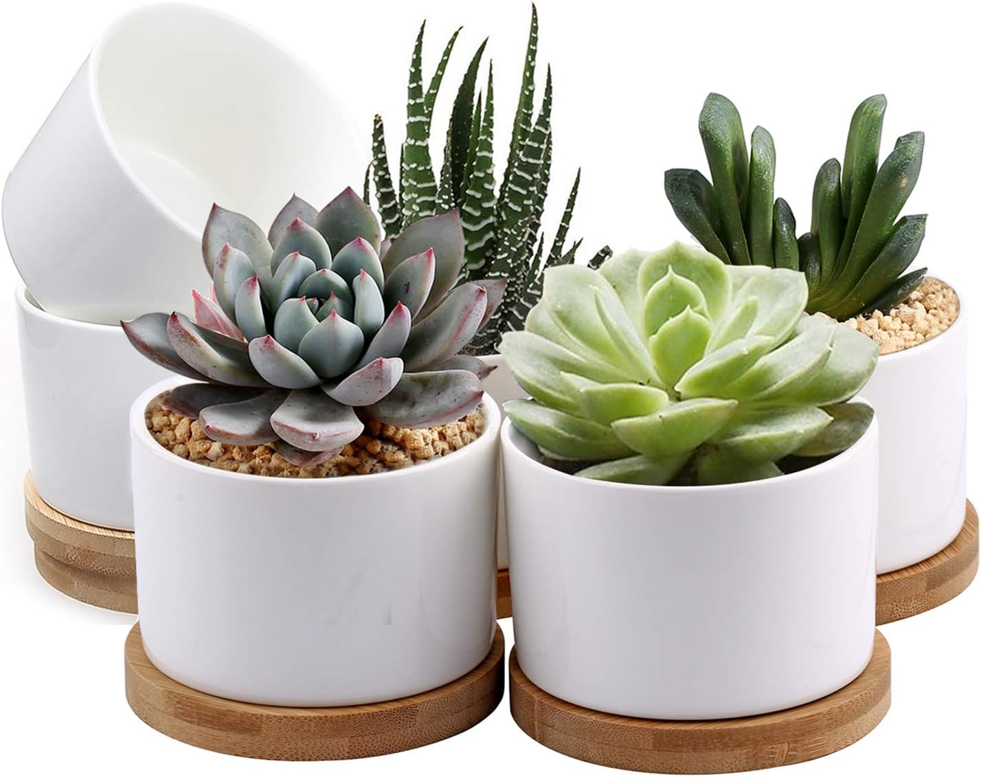 ZOUTOG Succulent Pots, White Mini 3.15 inch Ceramic Flower Planter Pot with Bamboo Tray, Pack of 6 - Plants Not Included