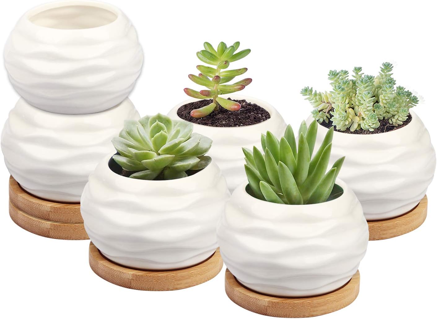 ZOUTOG Succulent Planters, Water Pattern Mini 3.6 inch Ceramic Succulent Pots with Bamboo Trays, Pack of 6 (Plants NOT Included)