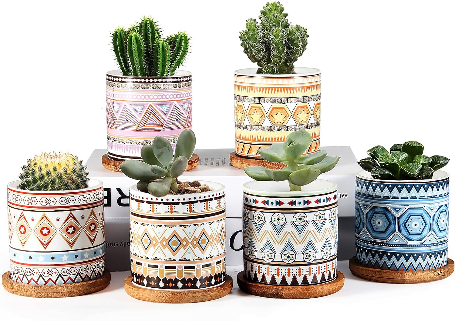 ZOUTOG Succulent Pots 6 Pack, 3 inch Colorful Ceramic Pots for Plants for Indoor & Outdoor, Succulent Pots with Drainage and Trays for All House Plants/Succulents/Flowers/Cactus