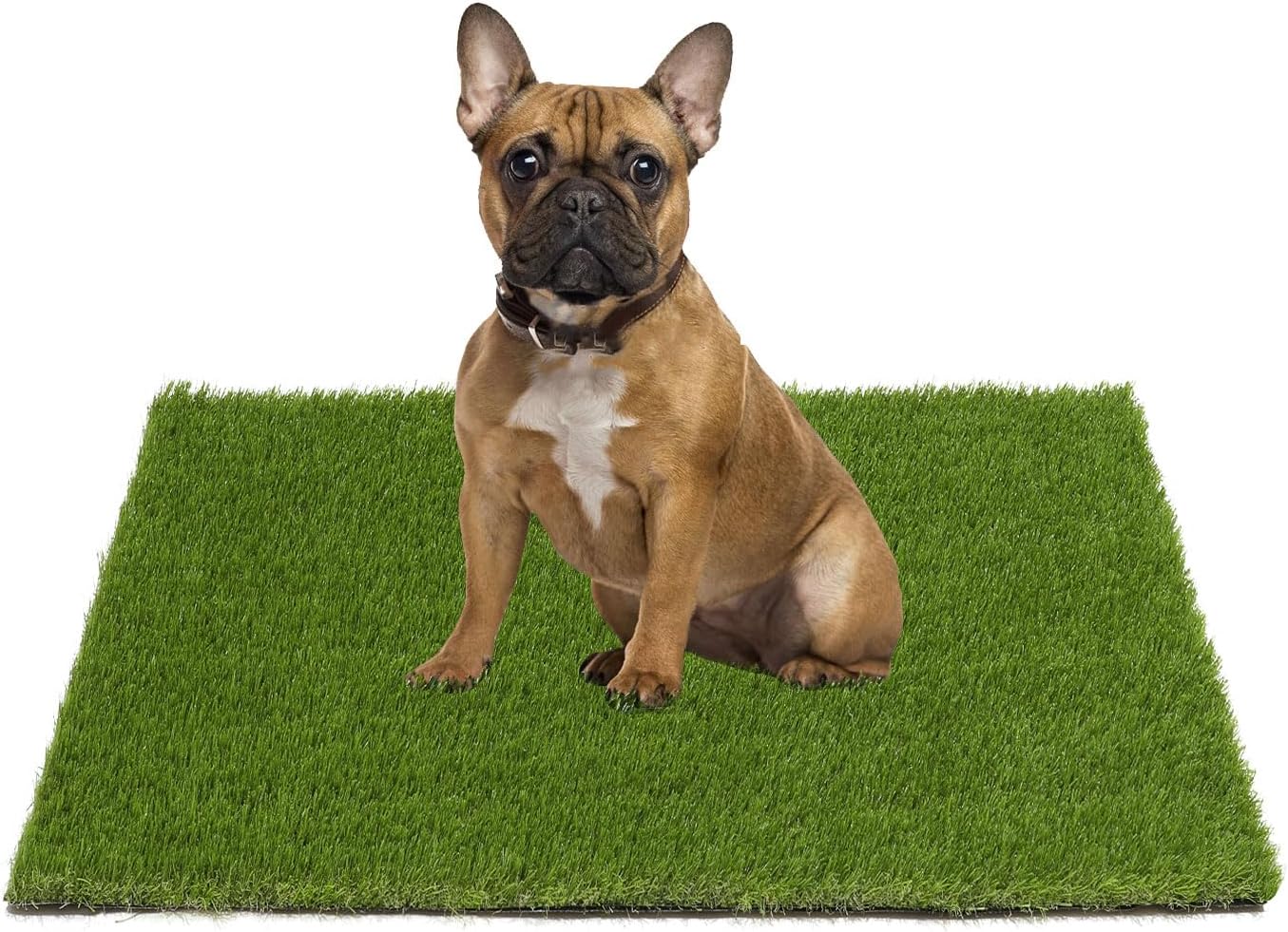 SHACOS Artificial Grass Pad for Dogs 20x25in Dog Pee Grass with Drainage Holes Potty Training Grass for Puppies Reusable Dog Training Pads Grass Mat for Pets Indoor Outdoor