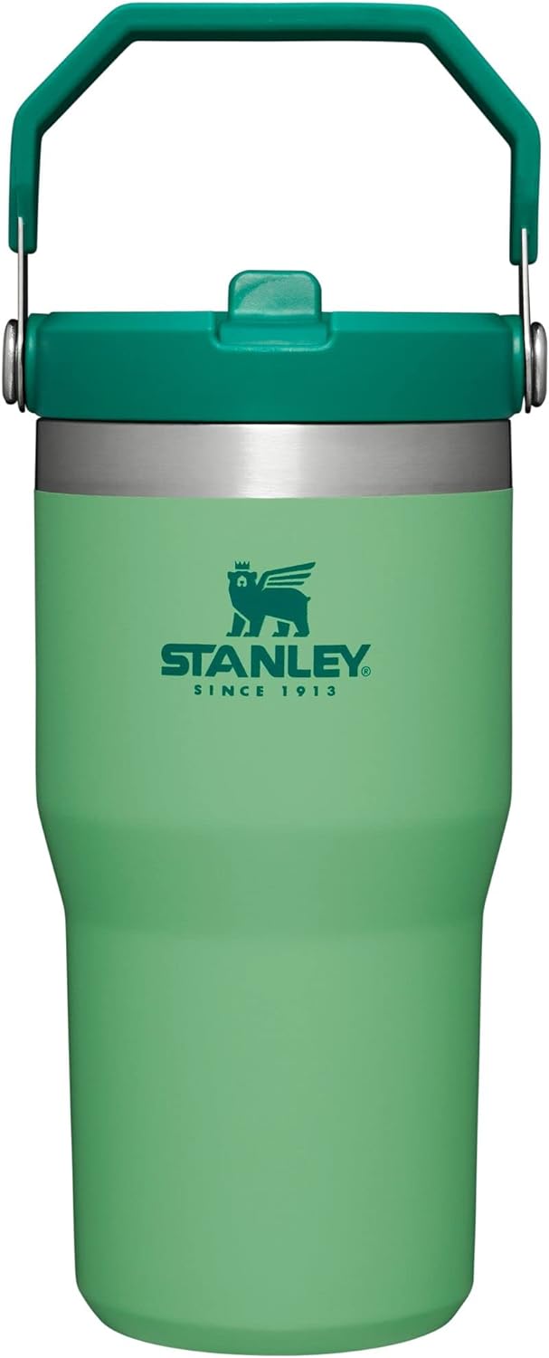 STANLEY IceFlow Stainless Steel Tumbler with Straw, Vacuum Insulated Water Bottle for Home, Office or Car, Reusable Cup with Straw Leakproof Flip