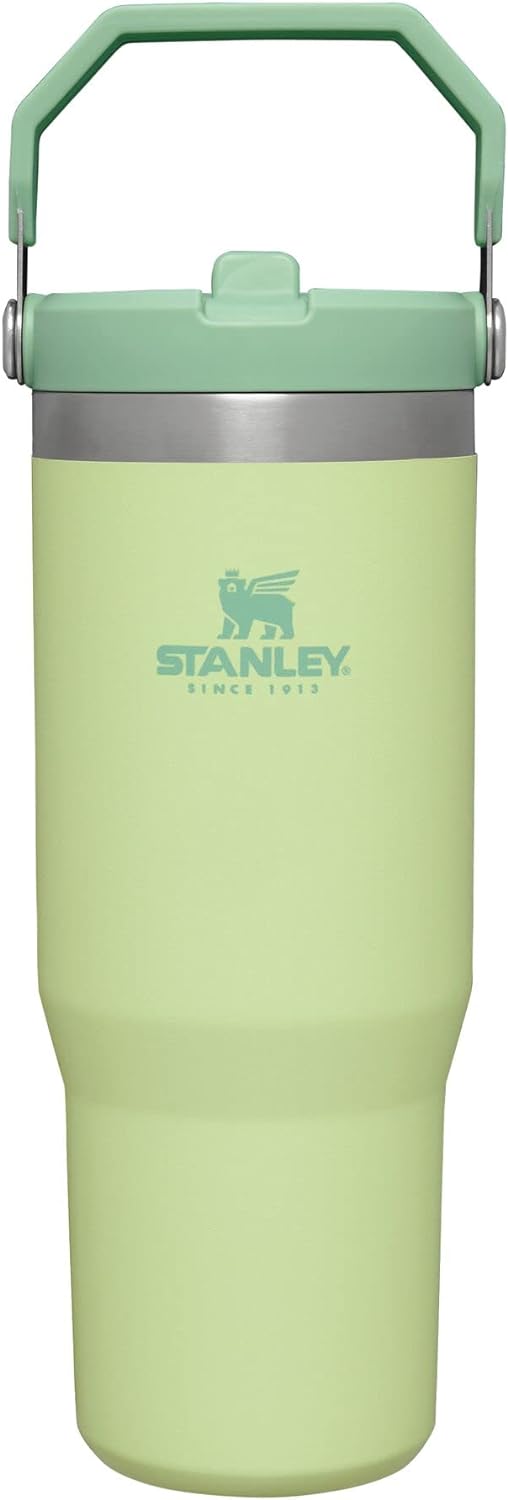 STANLEY IceFlow Stainless Steel Tumbler with Straw, Vacuum Insulated Water Bottle for Home, Office or Car, Reusable Cup with Straw Leakproof Flip