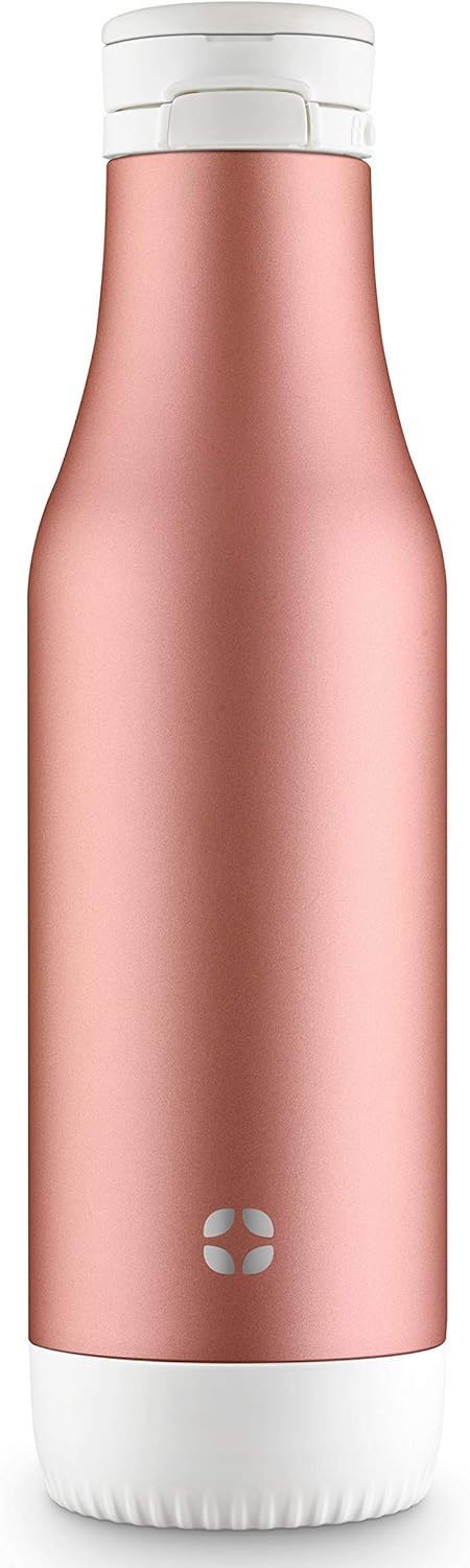 Ello Riley 18oz Vacuum Insulated Stainless Steel Water Bottle with Flip Lid