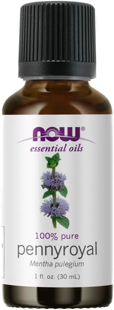 NOW Essential Oils, Pennyroyal Oil, Purifying Aromatherapy Scent, Steam Distilled, 100% Pure, Vegan, Child Resistant Cap, 1-Ounce