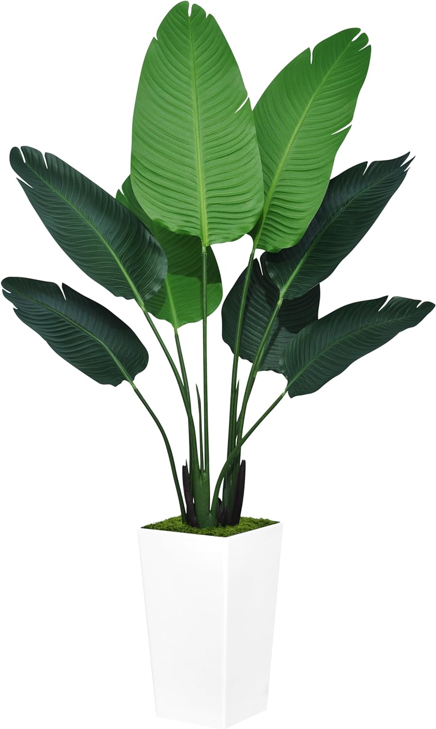 ASTIDY Bird of Paradise Artificial Plant 5FT - Faux Tropical Palm Tree with White Tall Planter - Fake Floor Plant Potted - Artificial Silk Tree for Home Office Living Room Decor Indoor