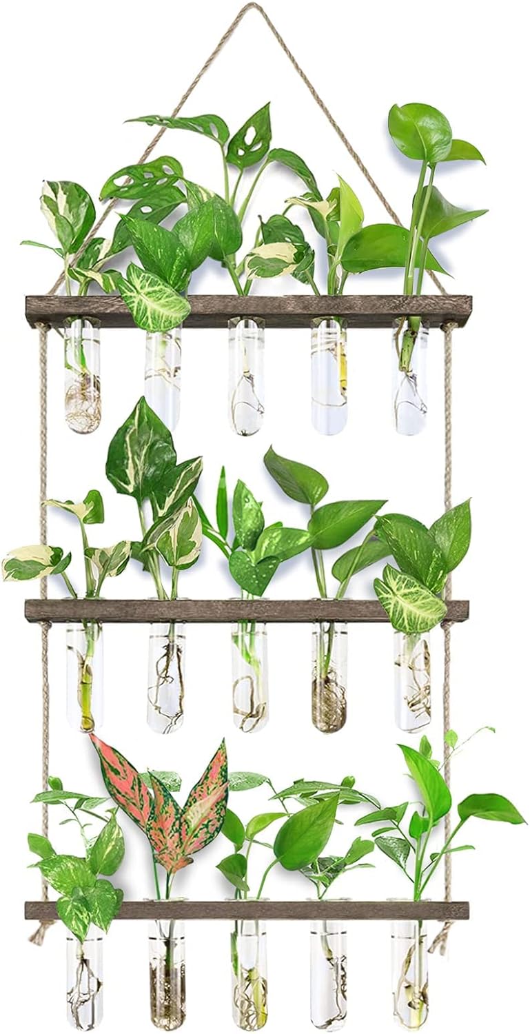 XXXFLOWER Wall Hanging Propagation Station with Wooden Stand 5 Glass Test Tubes 3 Tiered Planters Wall Terrarium for Home Office Plant Hanger Flower Vases Wall Decor Hydroponic Cuttings