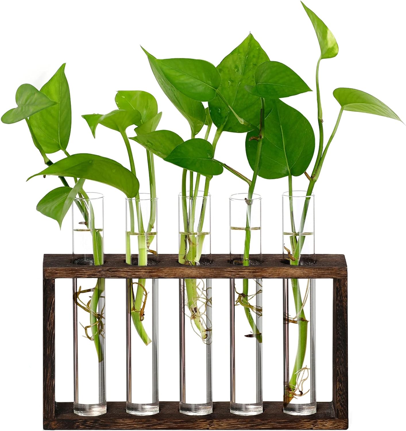 XXXFLOWER Wall Hanging Terrarium Planter with 5 Test Tubes,Wall Planters for Indoor Plants,Plant Lover Gifts for Women Garden Office Decoration