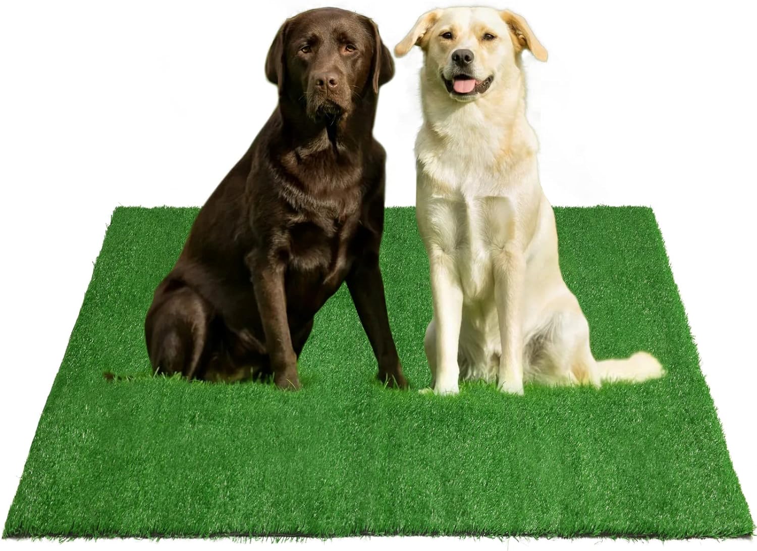 Oiyeefo Fake Grass Pee for Dog Large Artificial Grass Rug Pad for Puppy Potty Washable Grass Mat for Pet Training with Drainage Hole and Easy to Clean (39.3X 31.5Inches)