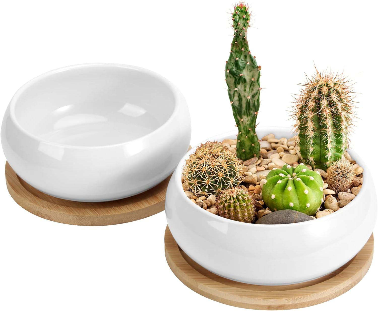 ZOUTOG 2 Pack Succulent Pots, 6 inch Ceramic Planters for Indoor Plants with Bamboo Tray, Pots with Drainage, Seeds Plants Not Included