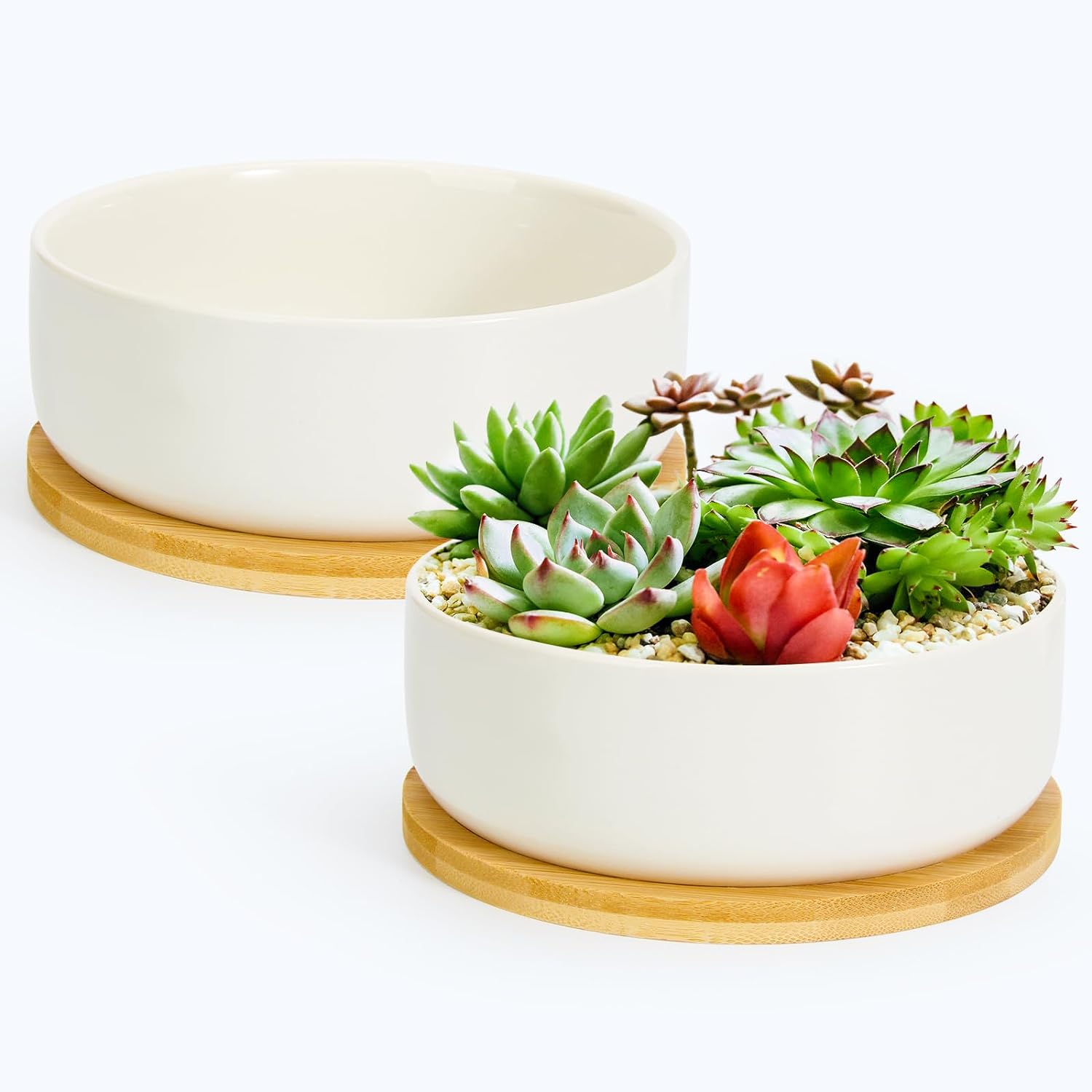 ZOUTOG Plant Pot 6 Inch, Ceramic Succulent Pots with Drainage Hole & Bamboo Tray, Pack of 2 Higher White Round Flower Pots for Home, Office, Indoor or Outdoor Decor - Plants Not Included