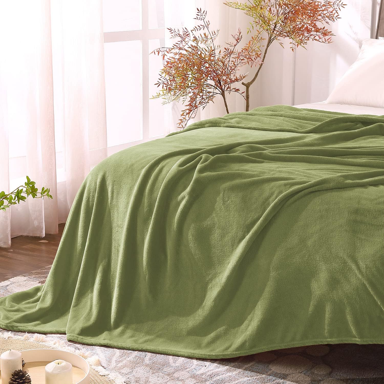 BEDELITE Fleece Blankets Queen Size Sage Green Throw Blankets for Bed & Couch, Plush Cozy Fuzzy Blanket, Super Soft & Warm Blankets for Fall and Winter