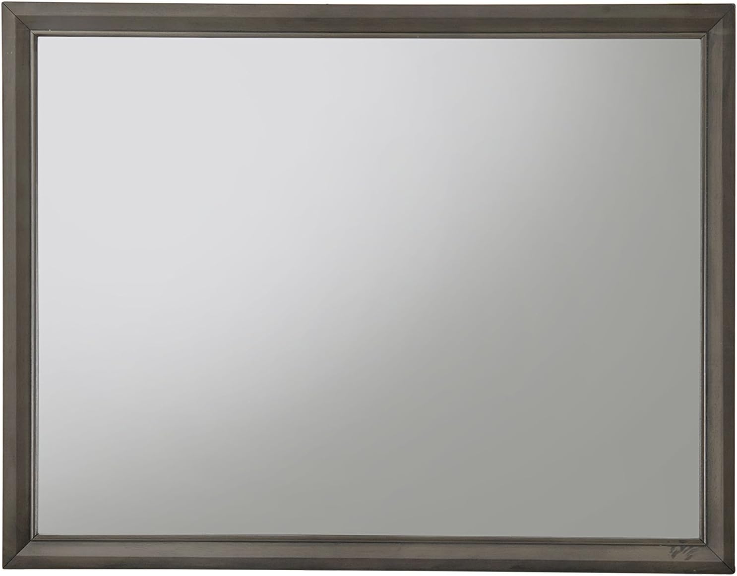 Acme Carine Wooden Frame Mirror in Gray