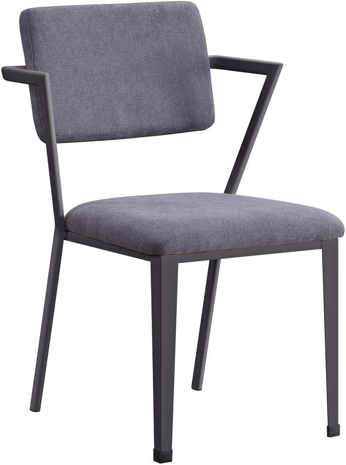 Acme Cargo Metal Frame Upholstered Chair in Gray and Gunmetal