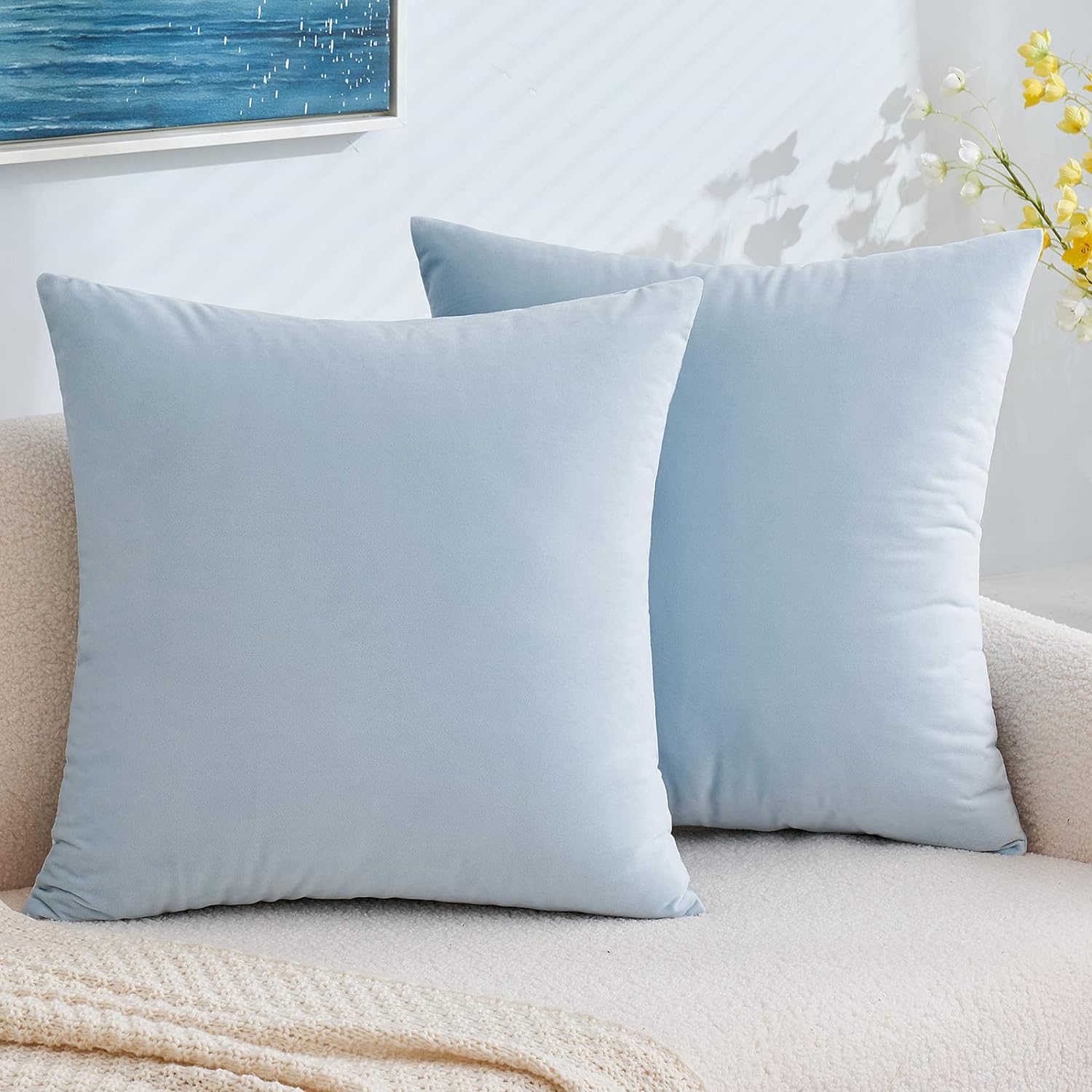 EMEMA Pack of 2 Velvet Pillow Covers Decorative Square Pillowcase Soft Solid Cushion Case for Sofa Bedroom Car 18x18 Inch Baby Blue