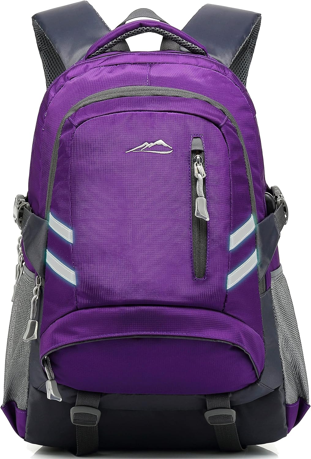 Backpack Bookbag for College Laptop Travel,Fit Laptop Up to 15.6 inch Multi Compartment with USB Charging Port Anti theft, Gift for Men Women (Purple)