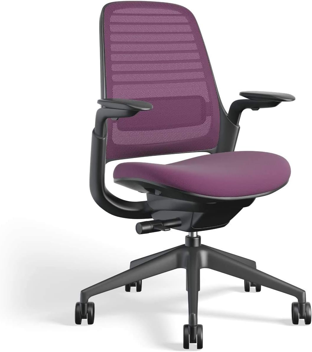 Steelcase Series 1 Office Chair - Ergonomic Work Chair with Wheels for Carpet - Helps Support Productivity - Weight-Activated Controls, Back Supports & Arm Support - Easy Assembly - Concord