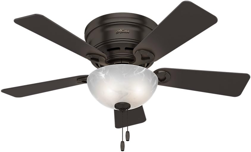 Hunter Fan Company, 52137, 42 inch Haskell Premier Bronze Low Profile Ceiling Fan with LED Light Kit and Pull Chain