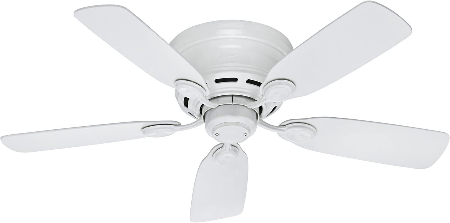 Hunter Fan Company 51059 Indoor Low Profile IV Ceiling Fan with Pull Chain Control, 42, White Finish