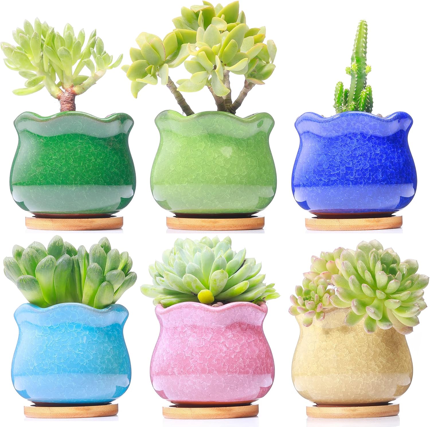 Cute Ceramic Succulent Garden Pots, Planter with Drainage and Attached Saucer, Set of 6 - Plants Not Included (Crackle)