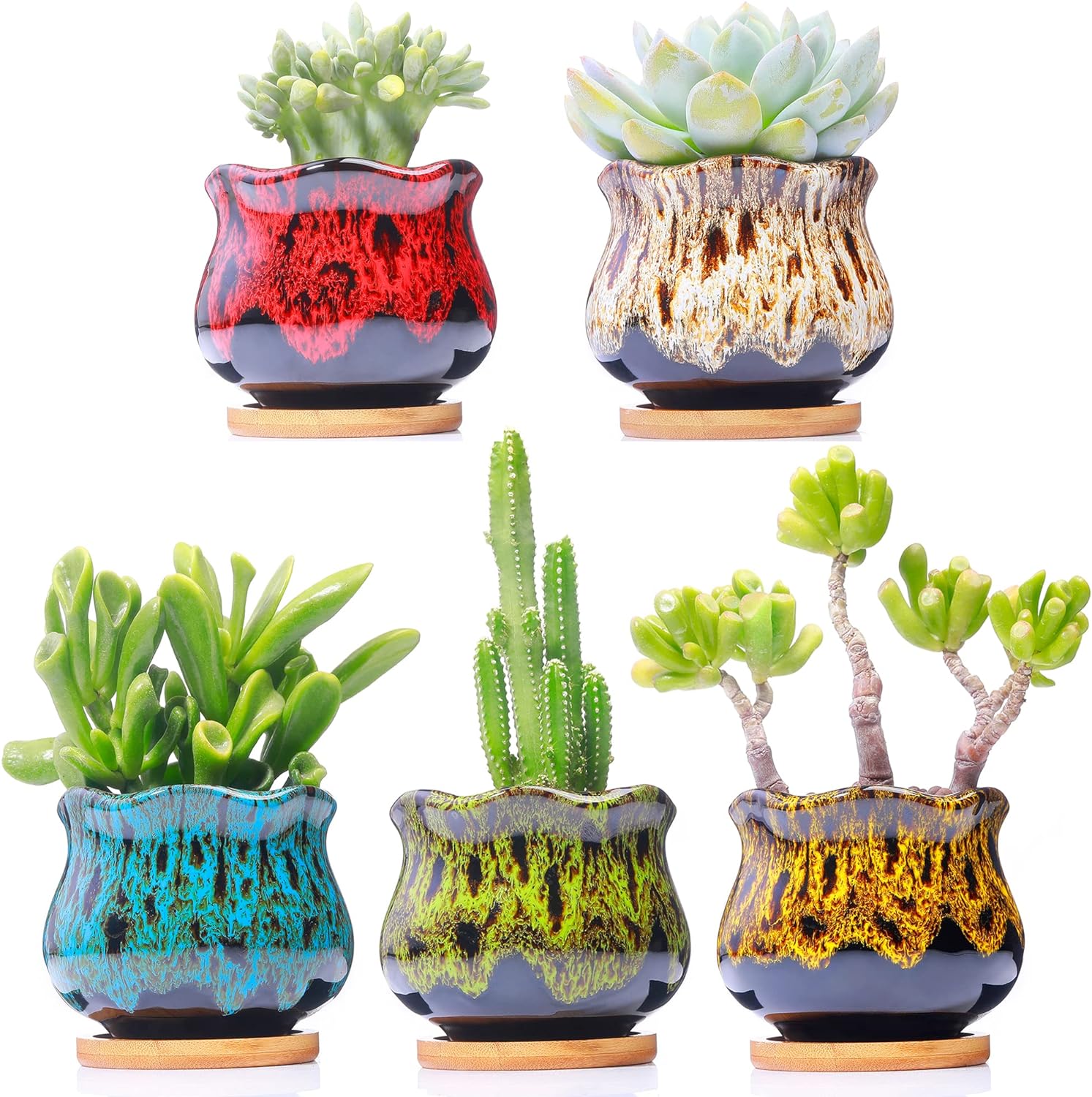 Cute Ceramic Succulent Garden Pots, Planter with Drainage and Attached Saucer, Set of 5 - Plants Not Included (Fambe)