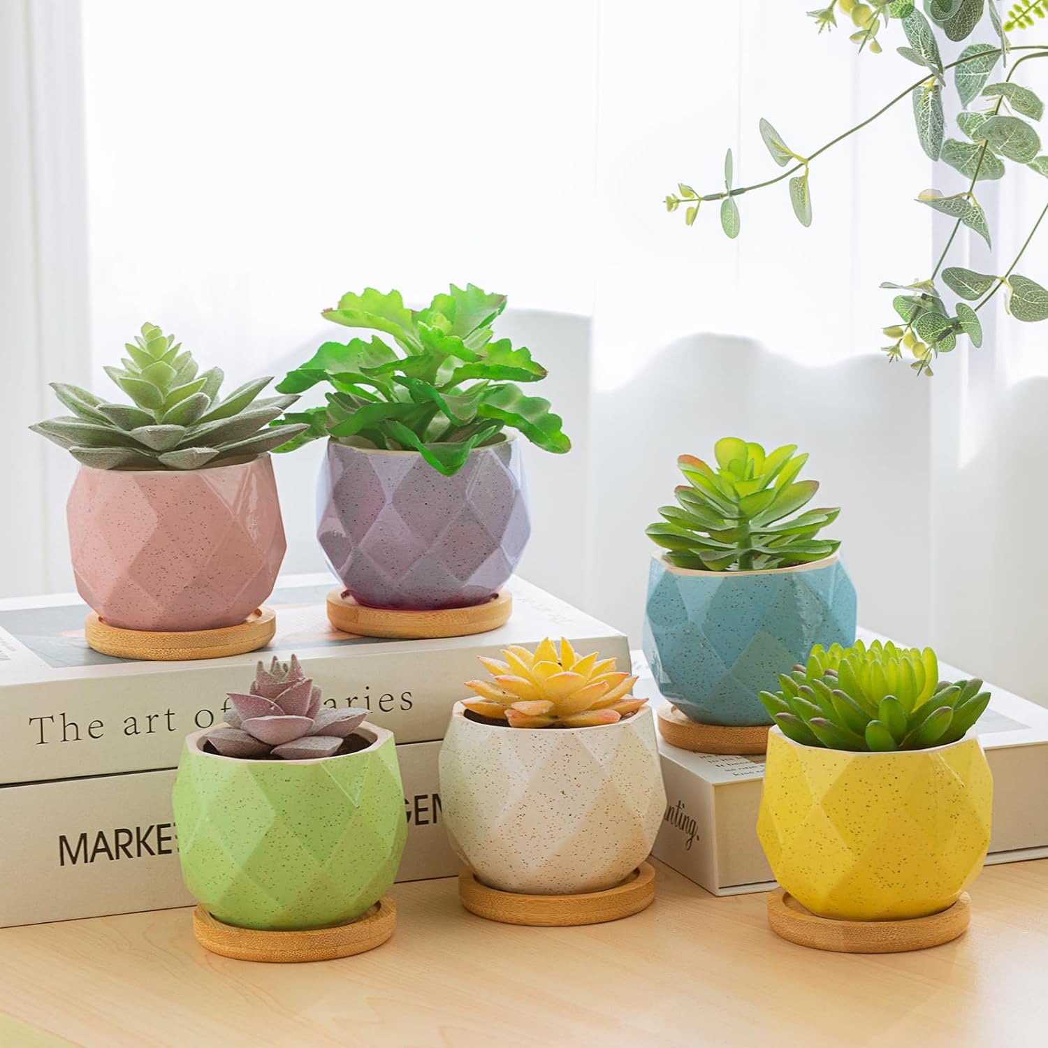 Ceramic Succulent Plant Pots Set of 6 - Small Succulent Pots with Drainage Hole Mini Pots for Indoor Plants Ceramic Planter with Bamboo Saucers Home Decor Rhombic