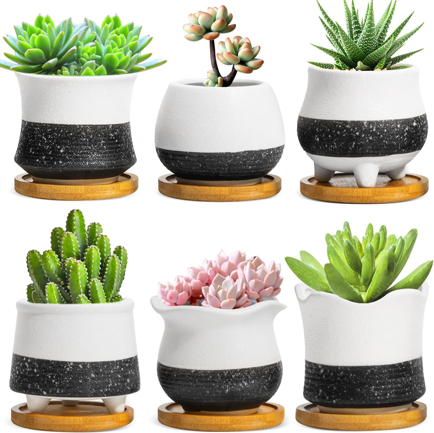 Succulent Pots Unique Pots for Succulent with Drainage and Saucers Ceramic Succulent Planters Small Succulent Plant Pots for Indoor Plants, Suitable for Gardening and Decor