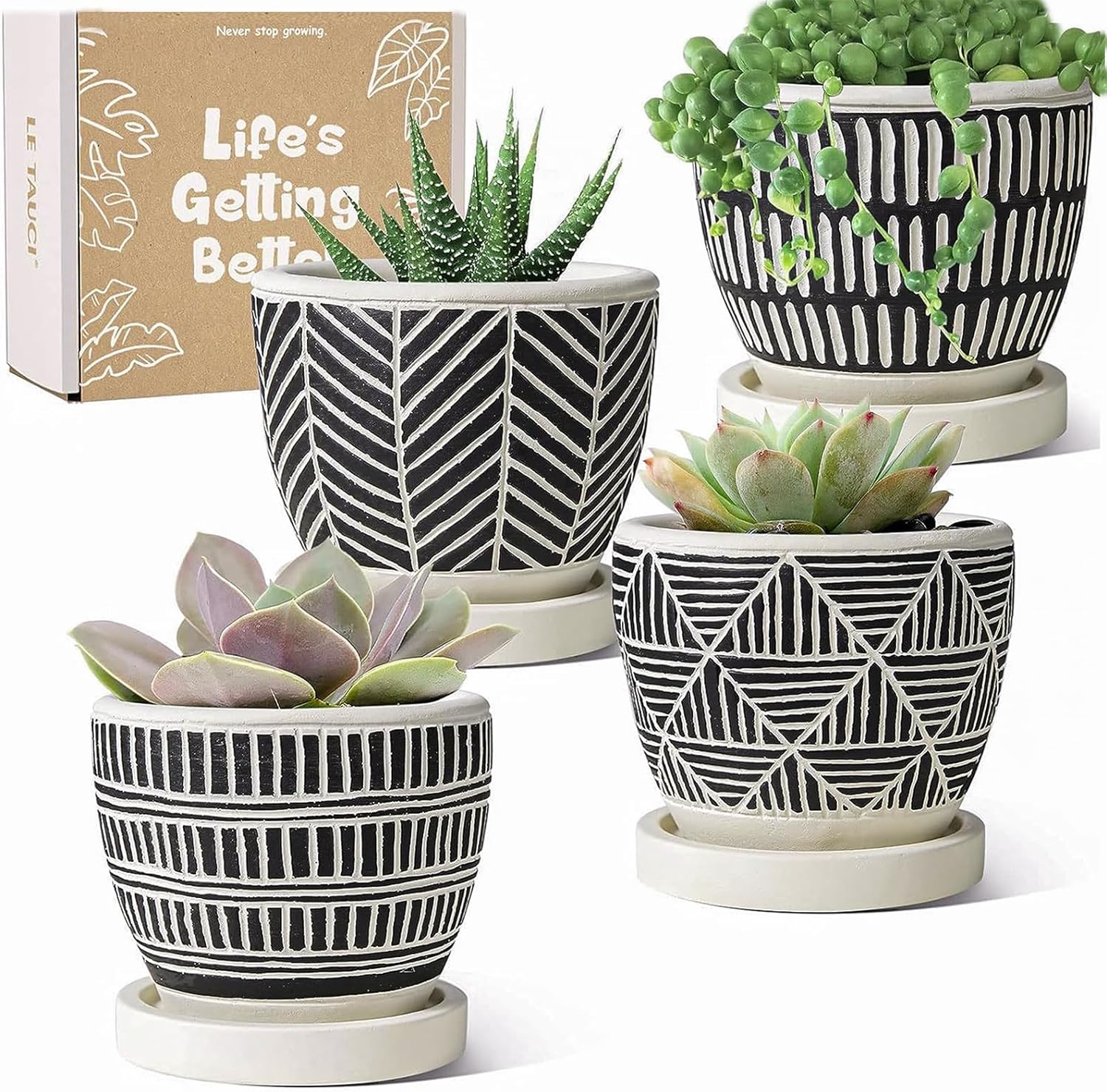 LE TAUCI 3 Inch Succulent Pots, Boho Small Succulent Planters, Cement Small Plant Pots, Small Pots for Plants, Cute Succulent Gift Box for Women, Set of 4, Black and Cream White