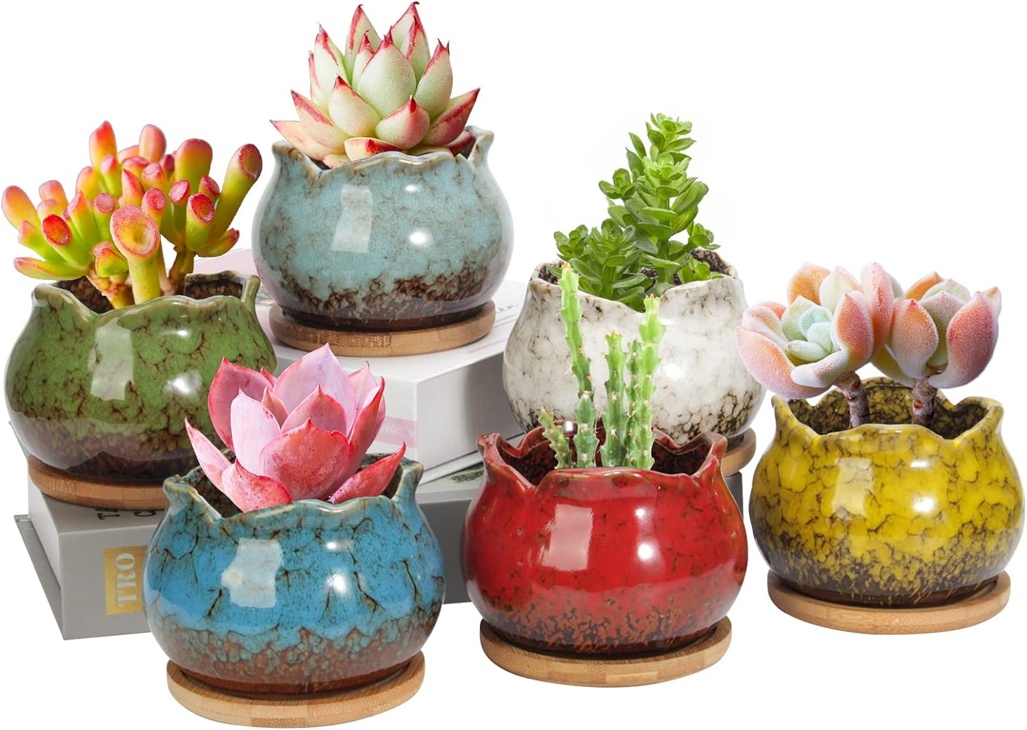 Laerjin Succulent Pots, 4 Inch Ceramic Plant Pots and Drainage Hole with Bamboo Tray, Colorful Flower Planter Pot, Pack of 6 (Plants Not Included)