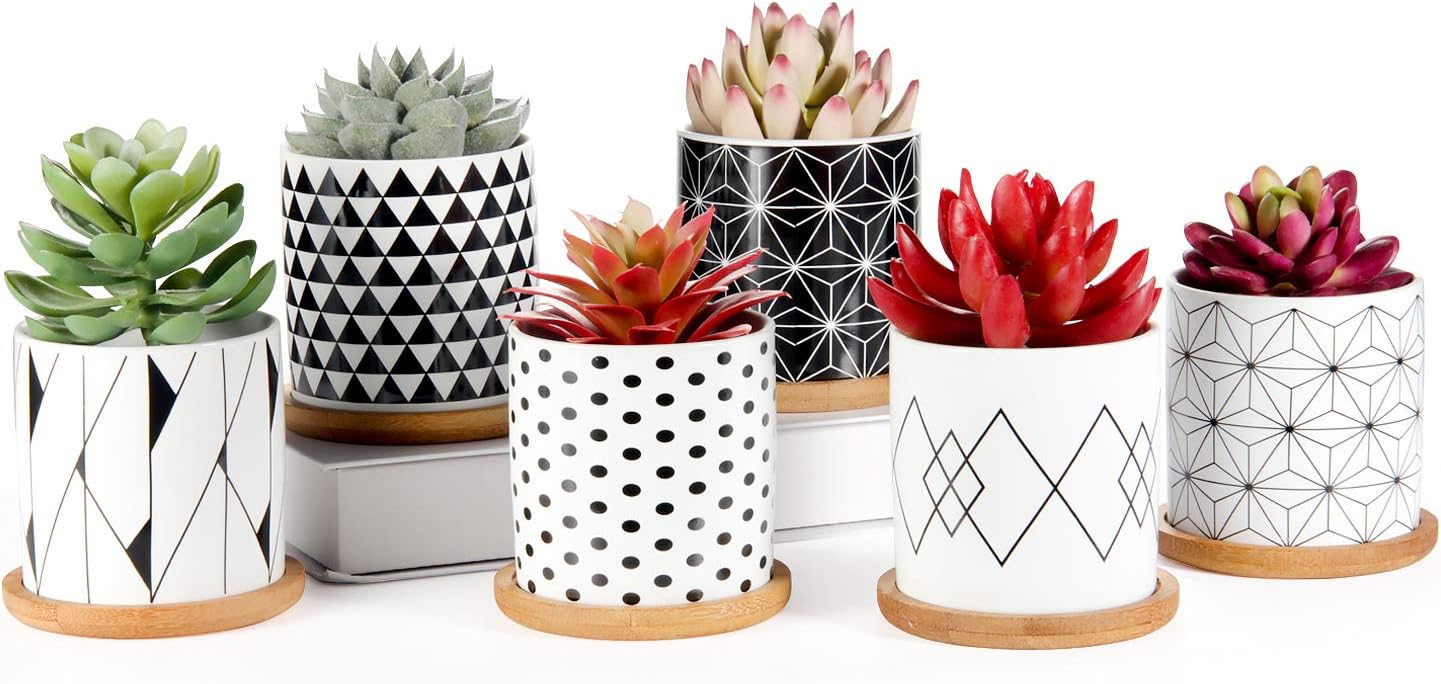 Succulent Pots 6 Pack, Laerjin 3 Inch Succulent Planters with Drainage and Bamboo Tray, Geometric Patterns Ceramic Small Pots for Baby Plants, Cactus, Herbs- Plants Not Included