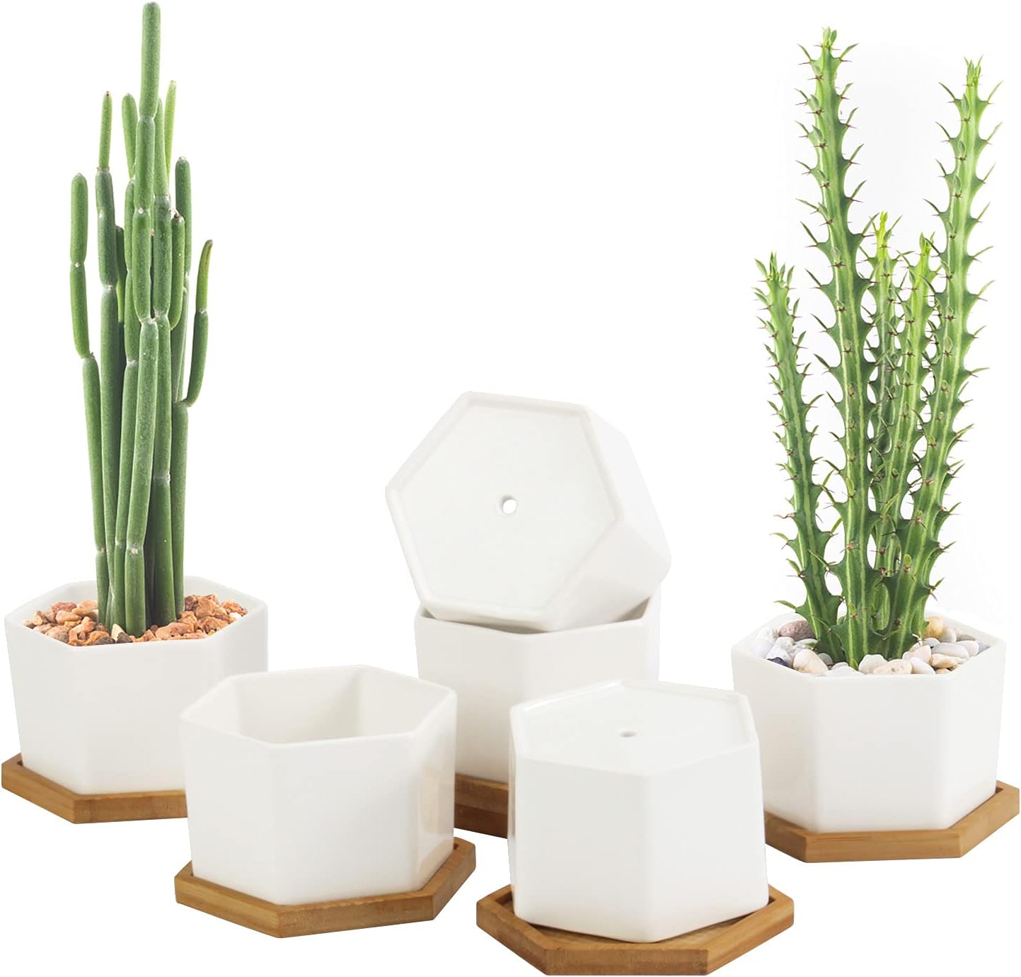 OAMCEG 6 Pack 4 Inch Succulent Pots - Small Succulent Planters, Set of 6 White Ceramic Succulent Cactus Plant Pots with Bamboo Tray(Plants NOT Included)