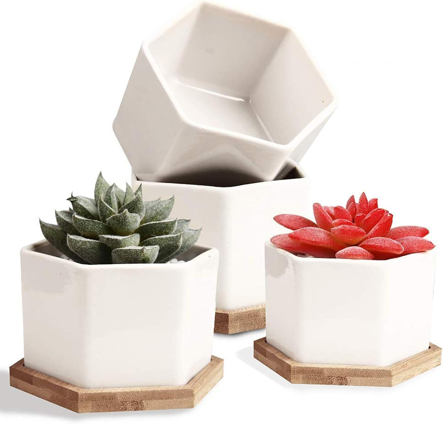 OAMCEG 4 Pack 4 Inch Succulent Plant Pots - Mini Succulent Planters, Set of 4 White Ceramic Succulent Cactus Plant Pots with Bamboo Tray(Plants NOT Included)