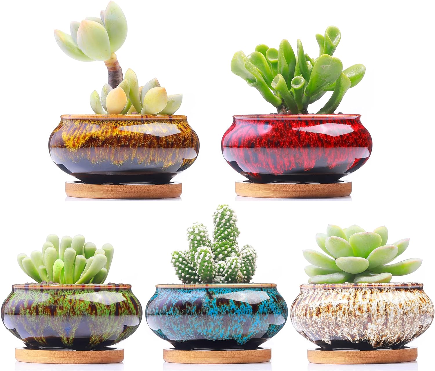 Cute Ceramic Succulent Garden Pots, Planter with Drainage and Attached Saucer, Set of 5 -Plants Not Included (Burner)