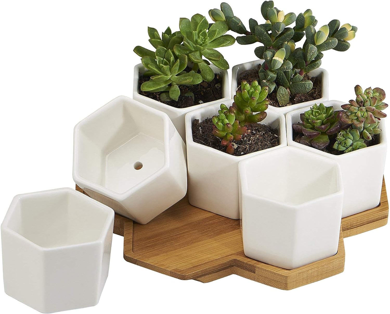 Planter Pots Indoor, 7 Pack 2.75 Inch Modern White Ceramic Small Hex Succulent Cactus Flower Plant Pot with Bamboo Tray for Indoors Outdoor Office Home Garden Kitchen Decor (Hexagon)