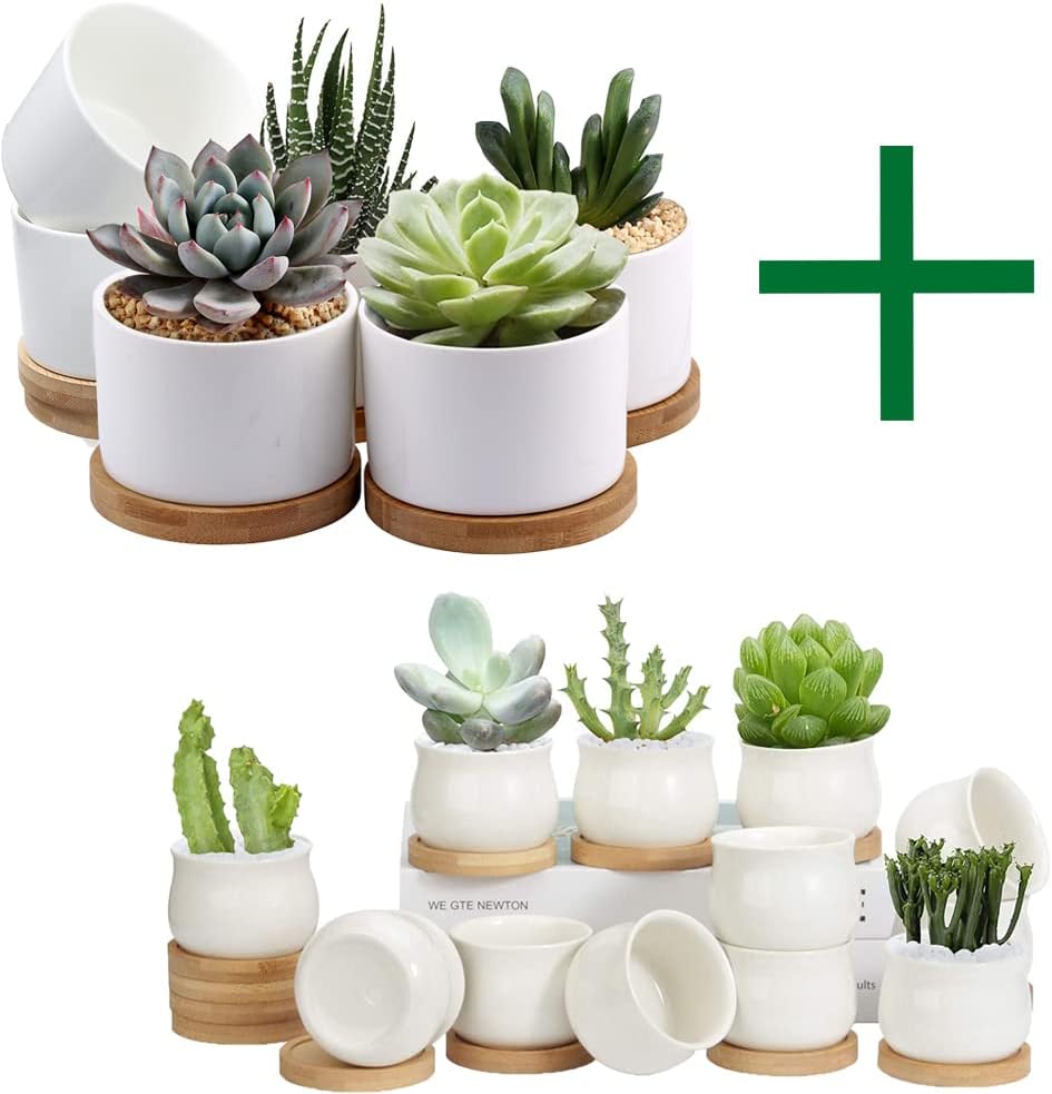 ZOUTOG Succulent Pots, White Mini 3.15 inch Ceramic Flower Planter Pot with Bamboo Tray, 2.6 Inch Mini Ceramic Pots for Flower or Cactus, Pots Not Included