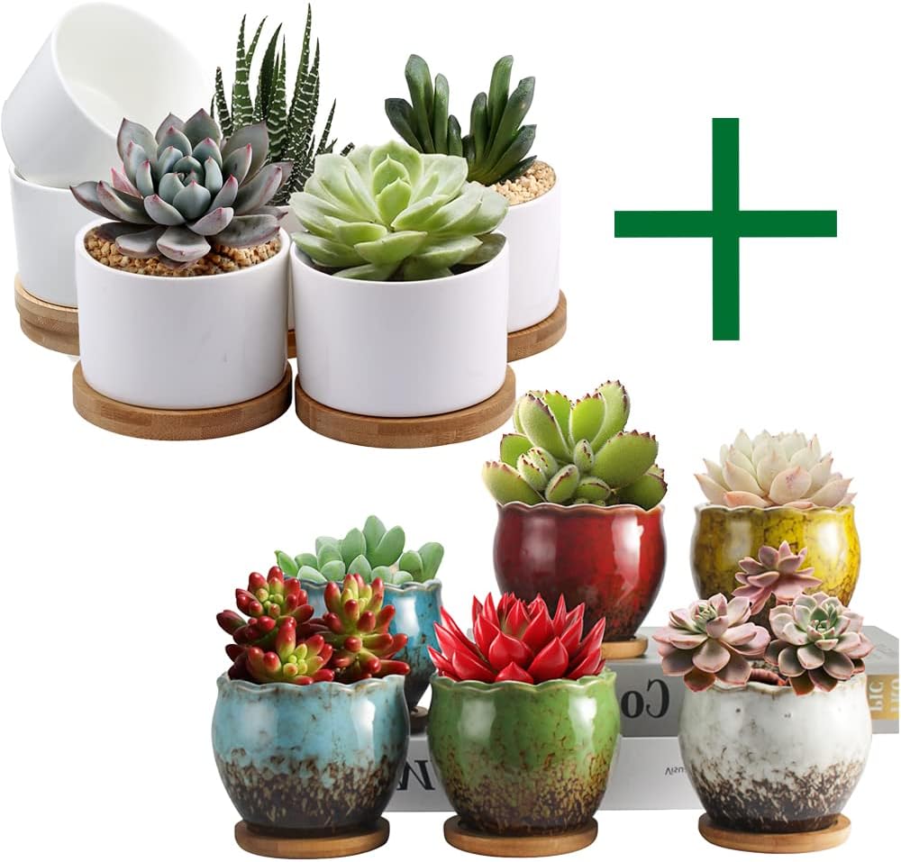 ZOUTOG Succulent Pots, White Mini 3.15 inch Ceramic Flower Planter Pot with Bamboo Tray, 4 inch Colorful Ceramic Flower Pots, Plants Not Included