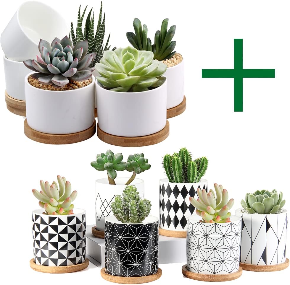 ZOUTOG Succulent Pots, White Mini 3.15 inch Ceramic Flower Planter Pot with Bamboo Tray, Geometric Pattern Round Small Flower Pots, Plants Not Included