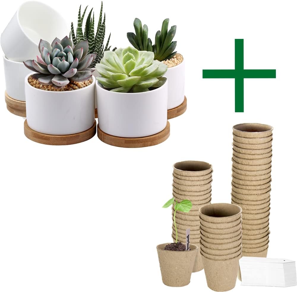 ZOUTOG Succulent Pots & Peat Pots, White Mini 3.15 inch Ceramic Flower Planter Pot with Bamboo Tray, 100 Pack Round Plant Starter Pots Seedling Trays, Bonus 100 Plant Labels