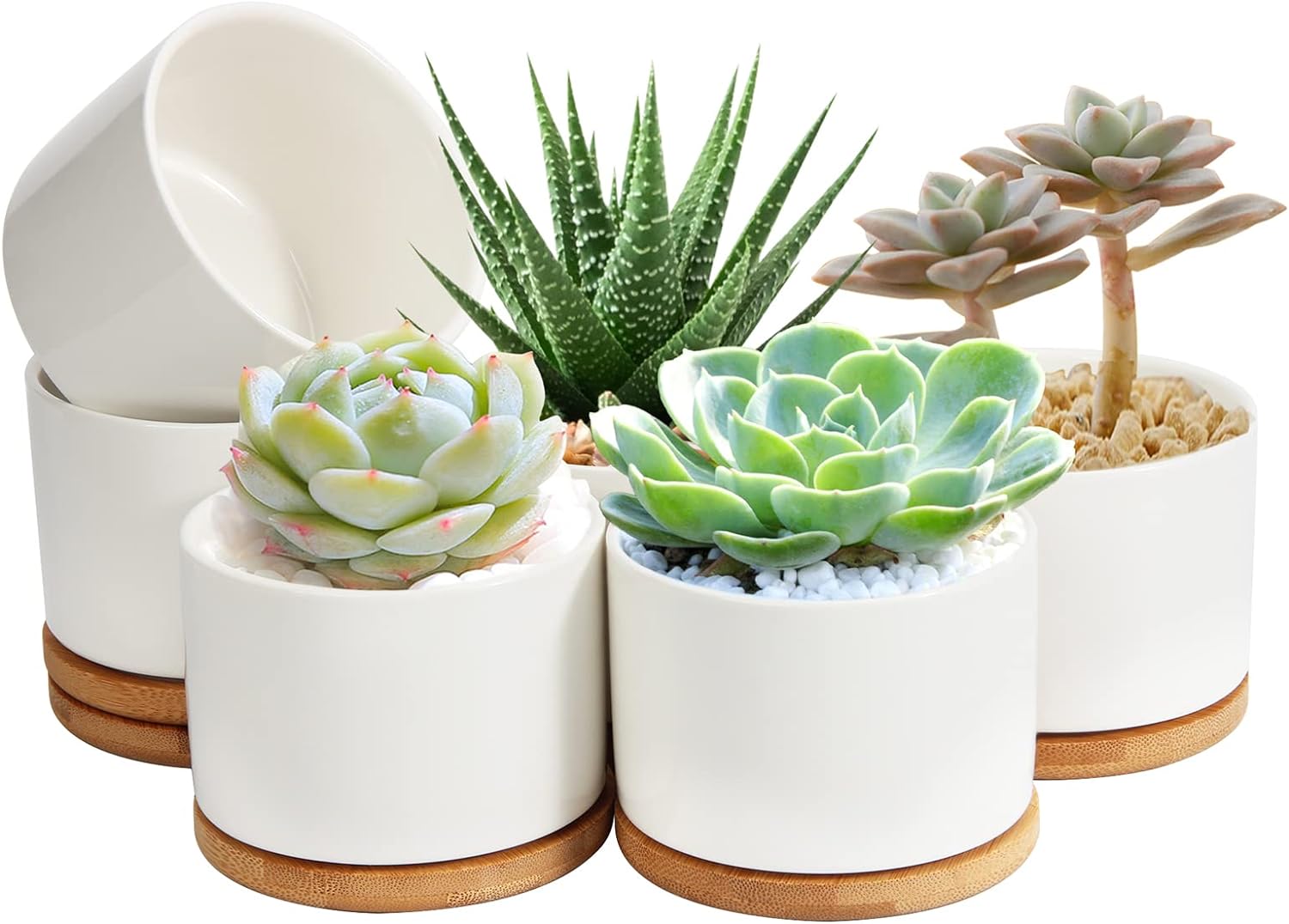 ZOUTOG Plant Pot 4 Inch, Ceramic Succulent Pots with Drainage Hole & Bamboo Tray, Pack of 6 White Small Flower Pots for Home, Office, Indoor or Outdoor Decor - Plants Not Included