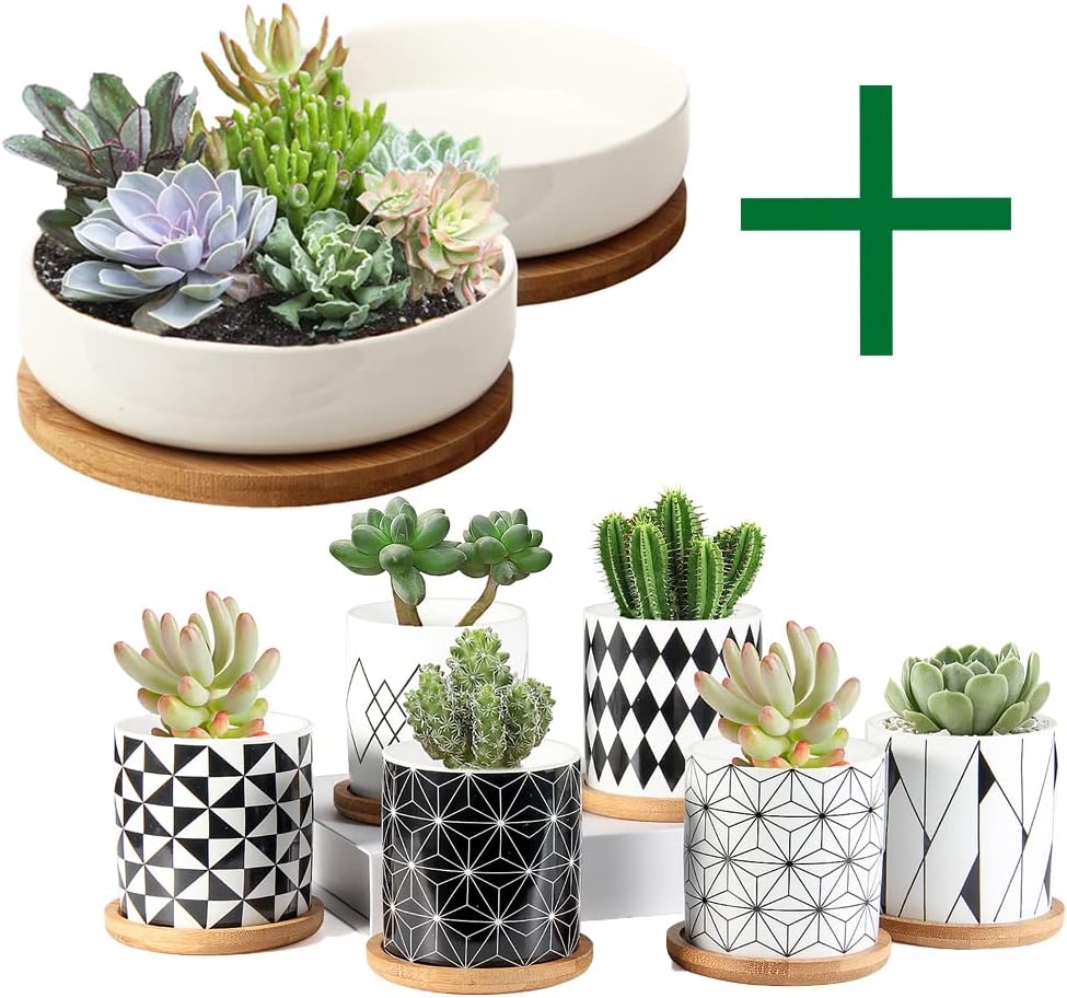 ZOUTOG Succulent Pots, 6 inch White Ceramic Flower Planter Pot with Bamboo Tray, Geometric Pattern Round Small Flower Pots, Plants Not Included