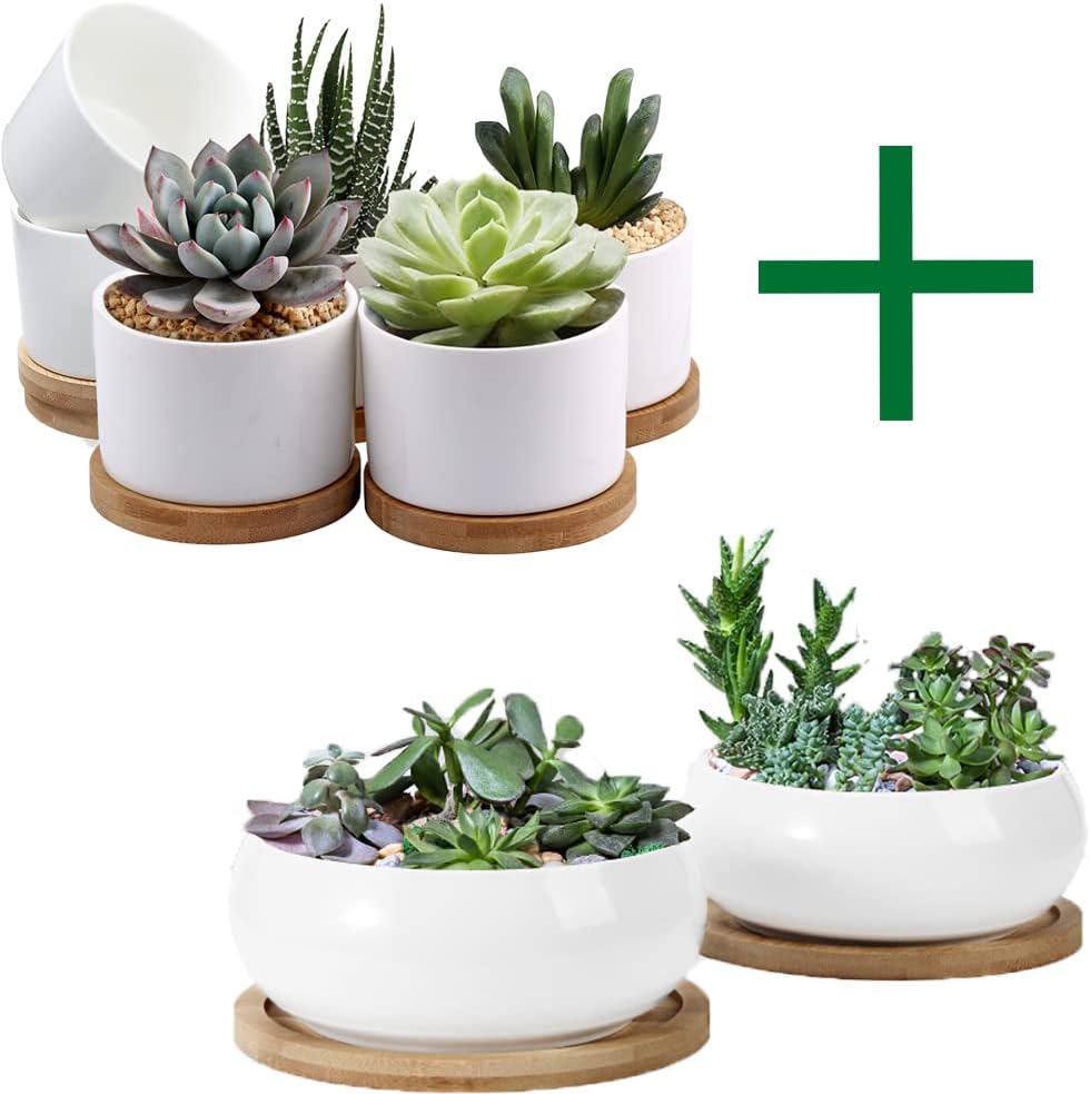 ZOUTOG Succulent Pots, White Mini 3.15 inch Ceramic Flower Planter Pot with Bamboo Tray, 6 inch Ceramic Planters for Indoor Plants, Plants Not Included