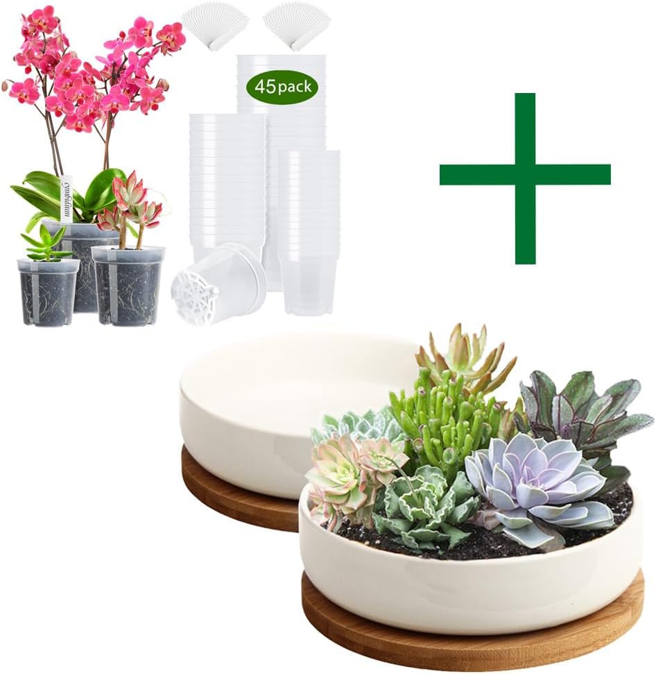 ZOUTOG Succulent Pots & Nursery Pots, 6 inch White Ceramic Flower Planter Pot with Bamboo Tray, 45 Pack 3.5/4 / 4.5 inches Plastic Pots for Plants with Drainage Holes