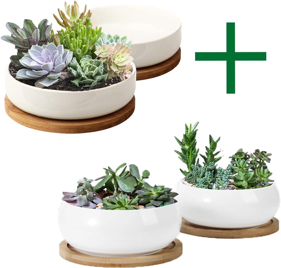 ZOUTOG Succulent Pots, 6 inch White Ceramic Flower Planter Pot with Bamboo Tray, 6 inch Ceramic Planters for Indoor Plants, Plants Not Included