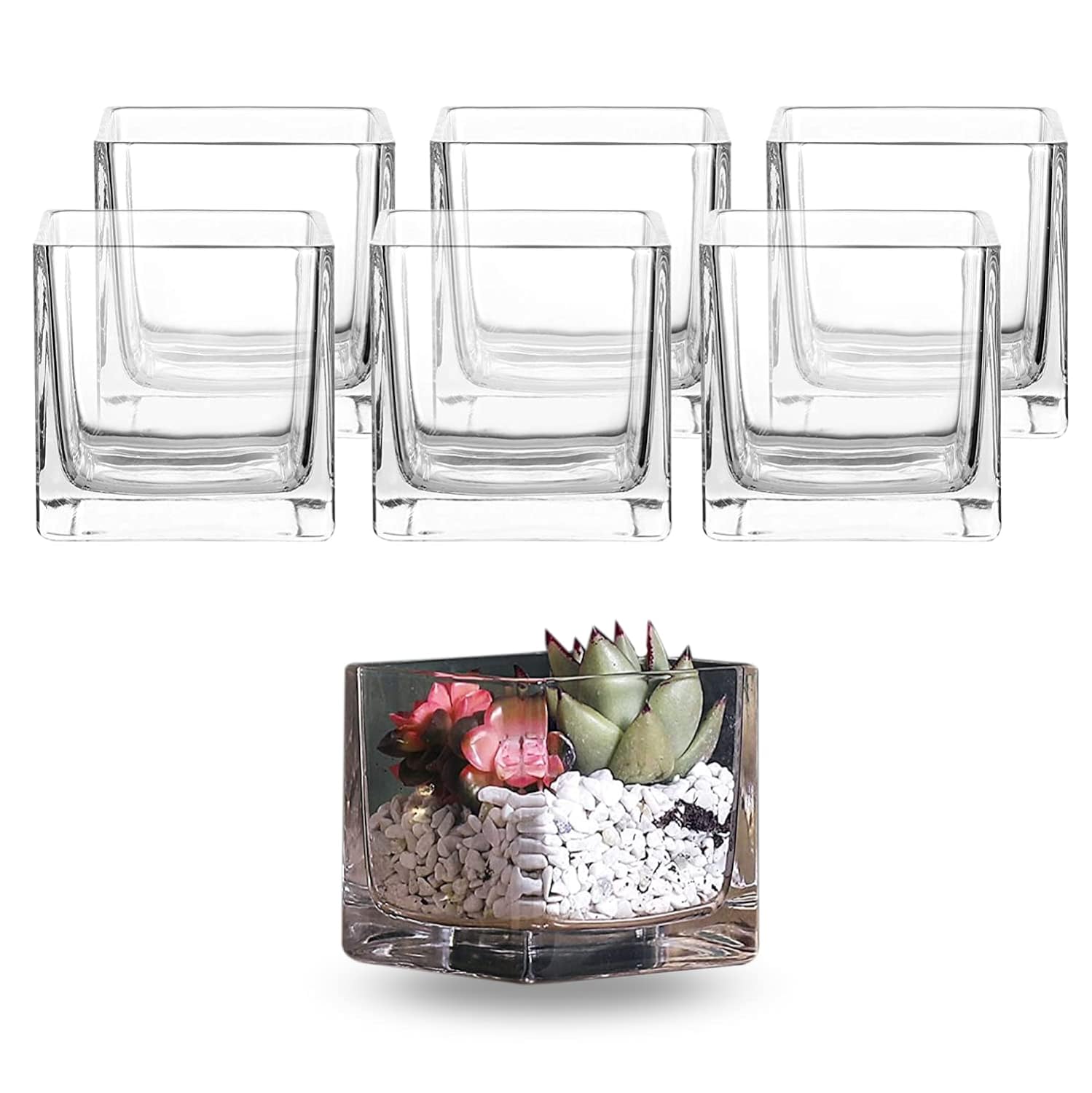 Whole Housewares Square Glass Flower Vase Centerpiece Set - 6 Pack Botanical Arrangements and Candle Holder Decoration - Thick Glass and A Stable Weighted Bottom - Clear Cube, 3.9L x 3.9W x 3.9H