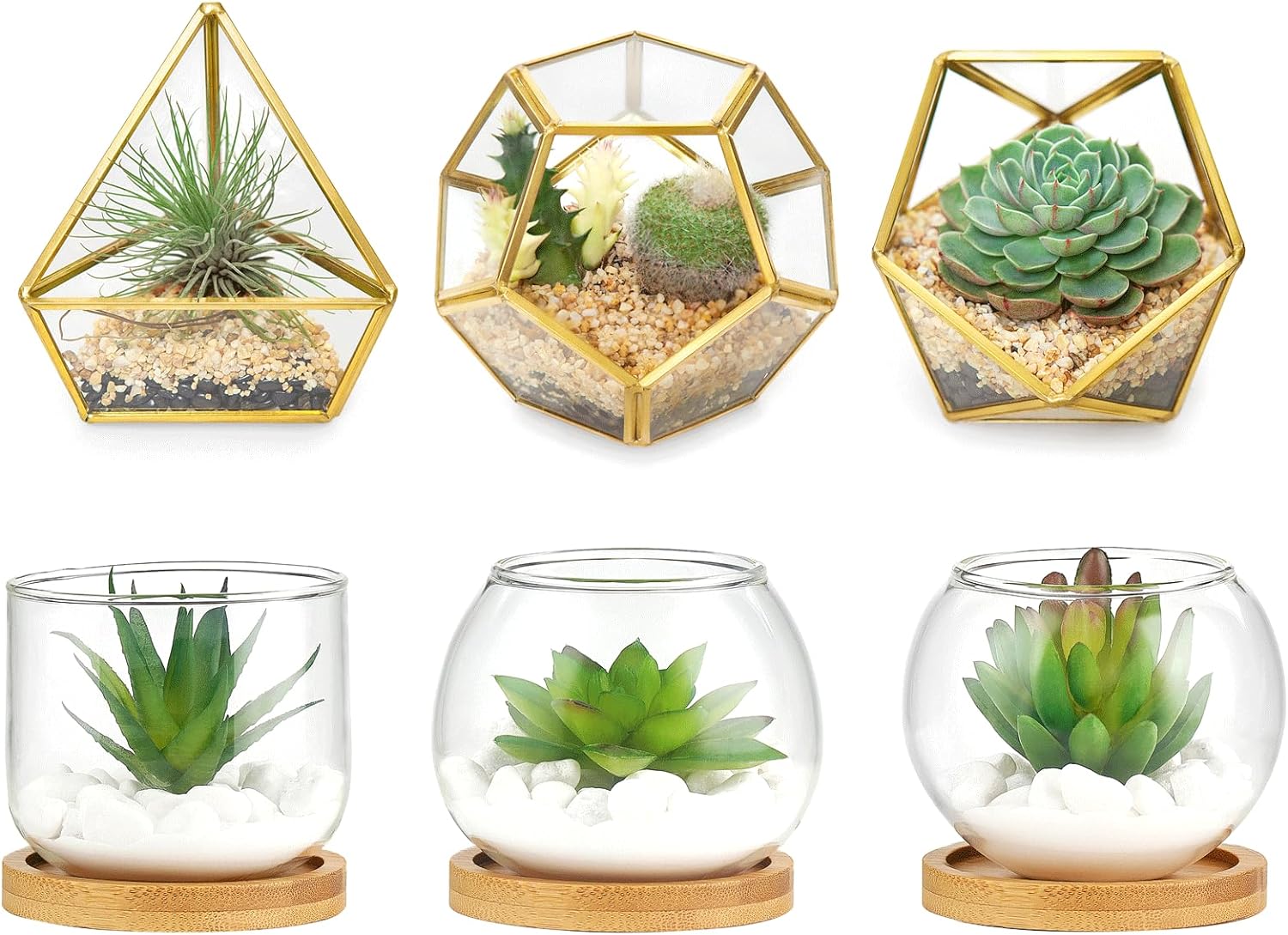 Mkono Artificial Succulent in Clear Glass Pot, 3 Mini Potted Fake Plants and 4 Inches Mini Glass Geometric Terrarium