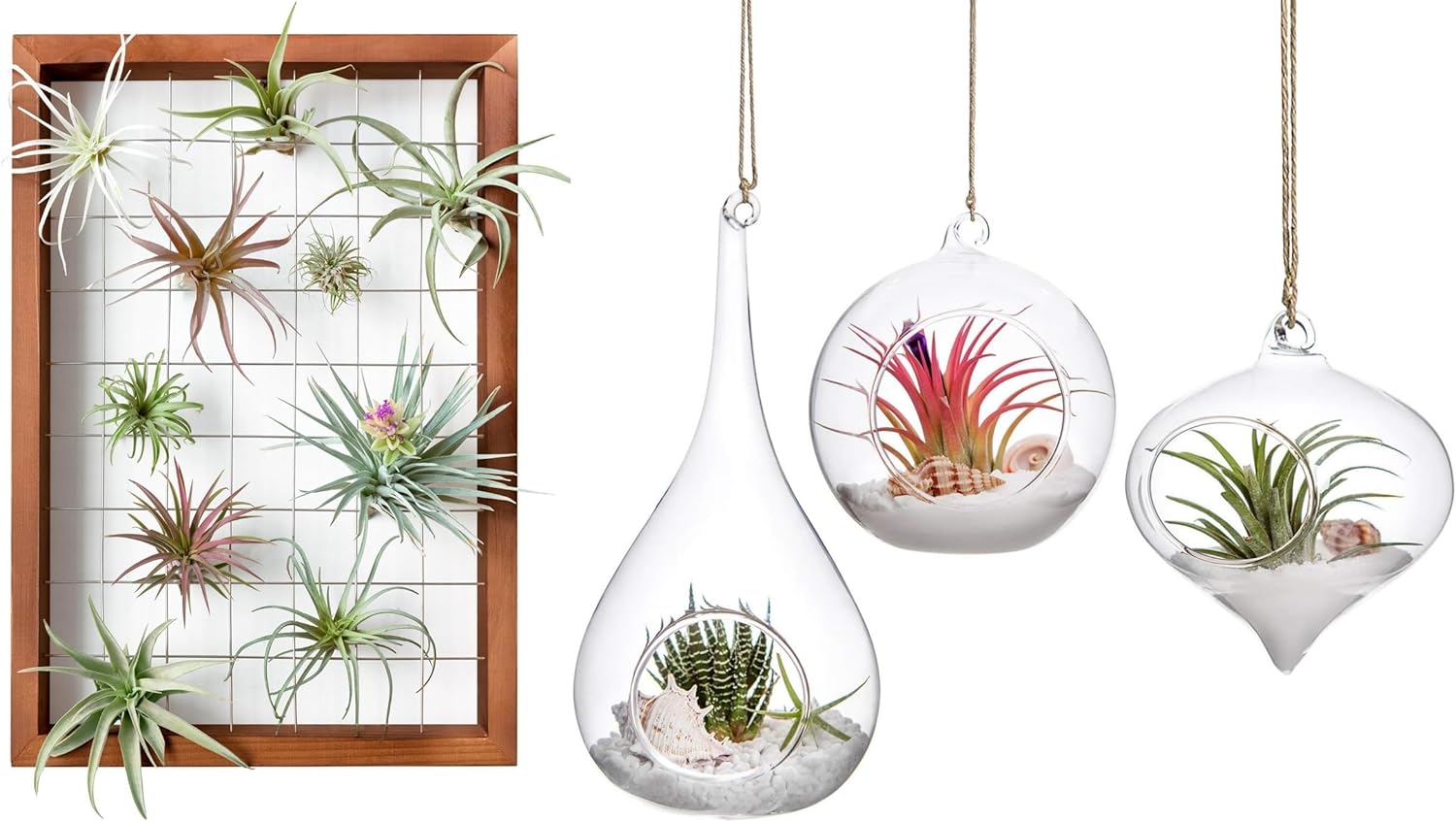 Mkono Air Plant Frame Hanging Planter Air Fern Holder Terrarium Plants Hanger Vase, Home Christmas Decoration Gifts for Plant Lovers