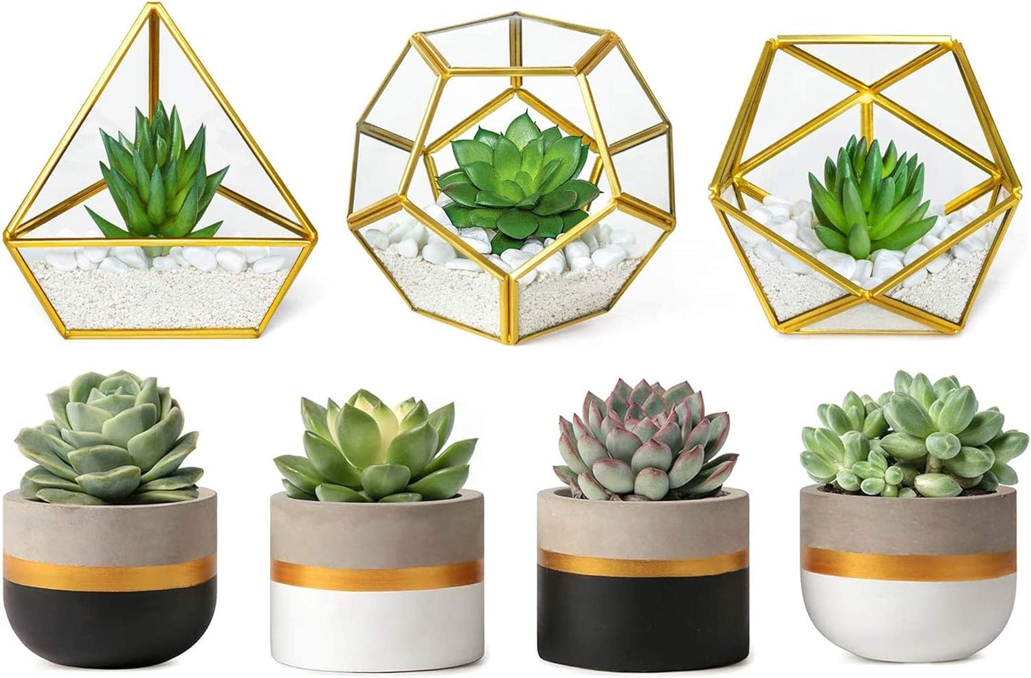 Mkono 3 Inch Mini Cement Succulent Planter Modern Tiny Concrete Cactus Plant Pots Small Clay Indoor Herb Window Box Container for Home Office Decor, Set of 4 (Plants NOT Included)